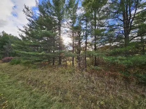 20 Acres Wooded Recreational Land