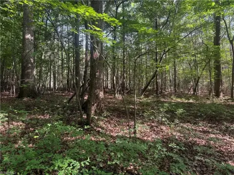 Expansive Land in Seagrove, NC
