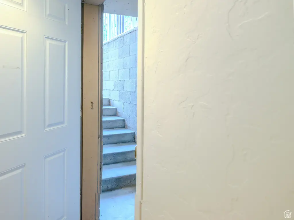 Picture 20