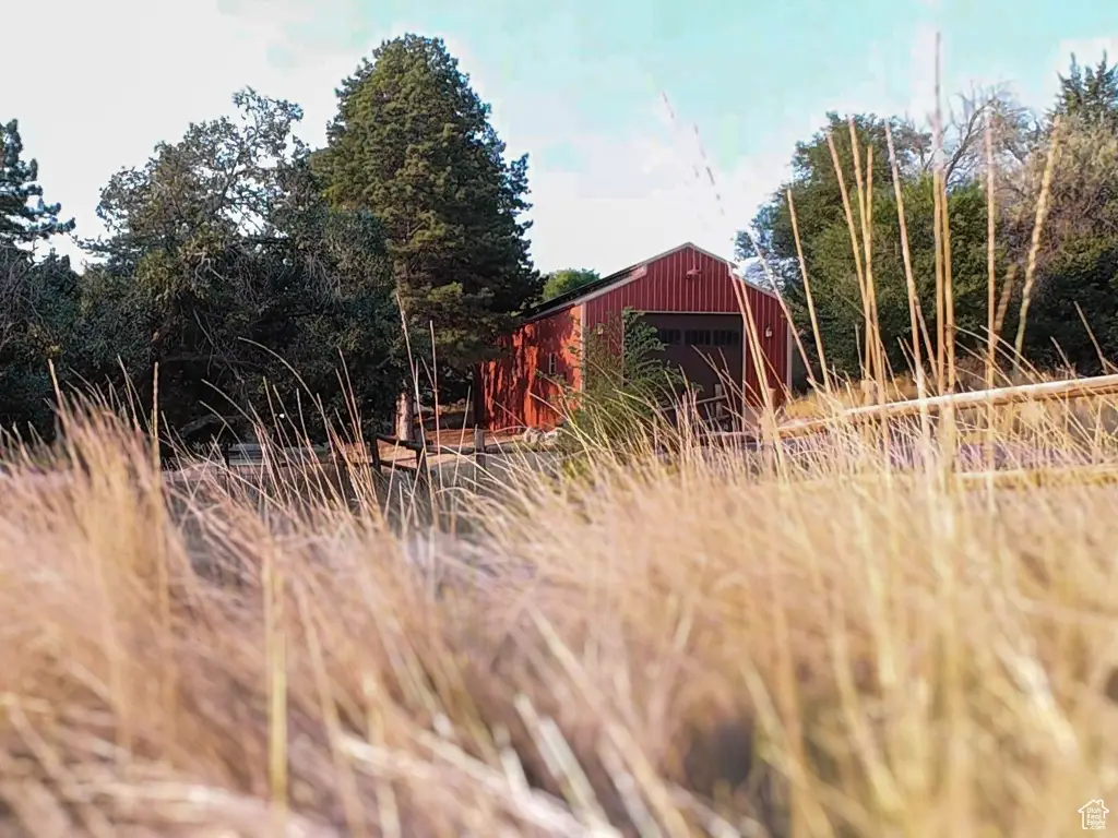 Picture 6