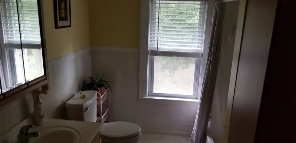 Picture 5