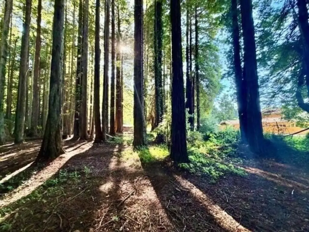 Picture 16