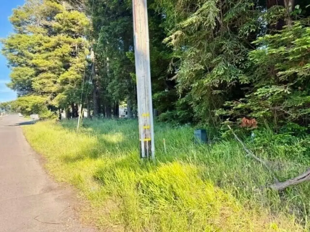 Picture 2