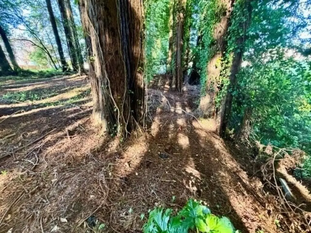 Picture 7