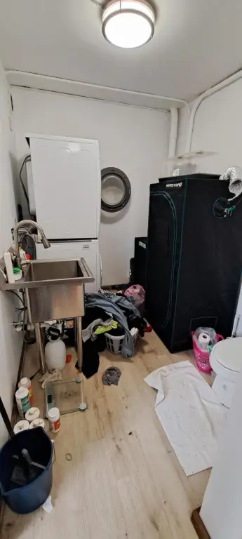 Picture 24