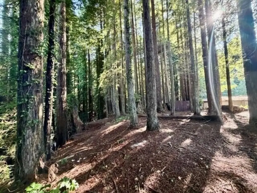 Picture 7