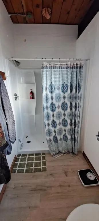 Picture 17