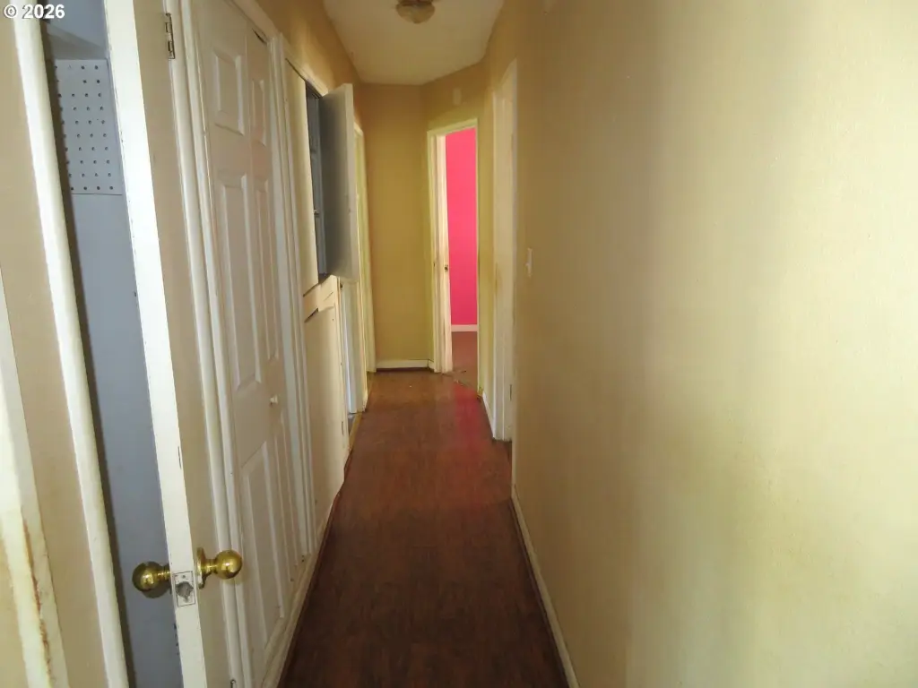 Picture 14