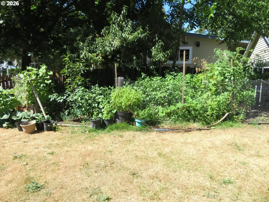 Picture 7