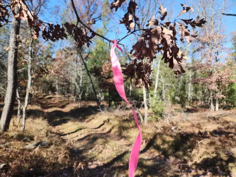 Wooded Land Bordering Federal Land