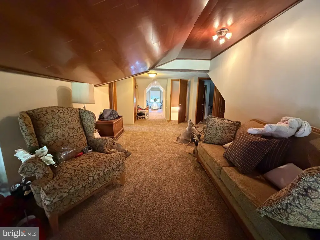 Picture 61