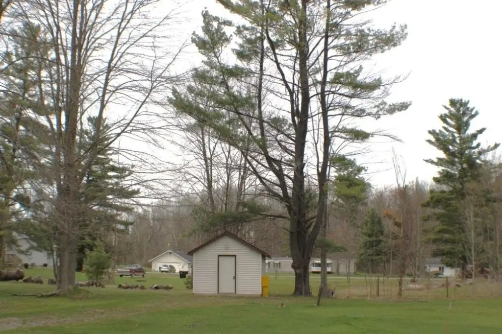 Picture 21