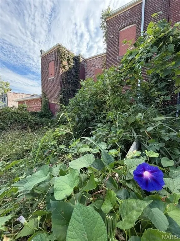 Picture 21