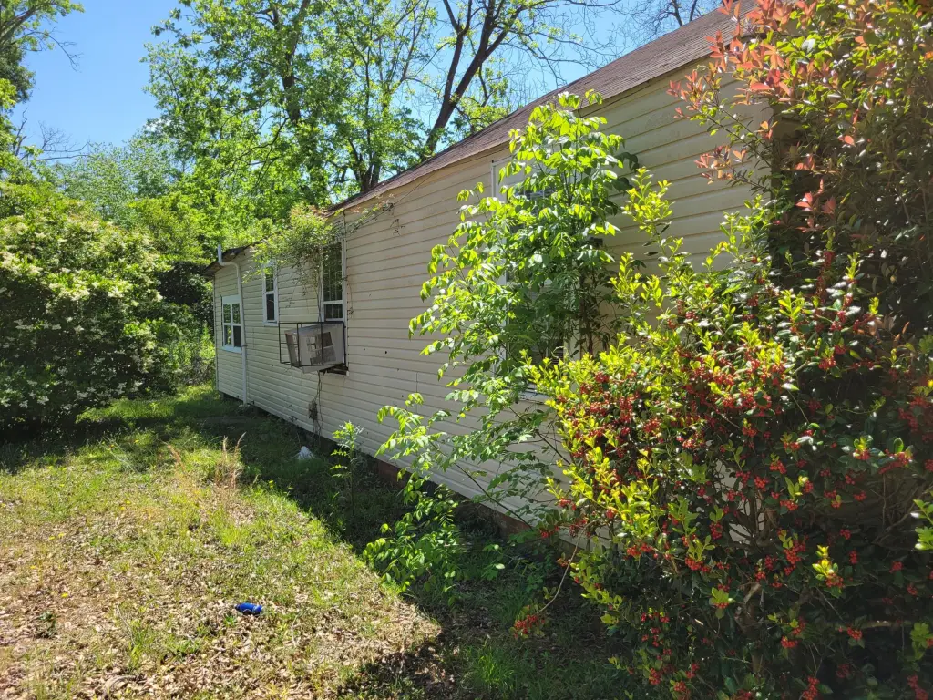 Picture 5
