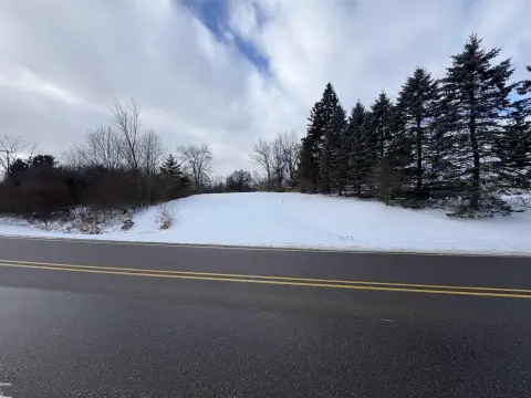 Residential Lot Near Lapeer, MI