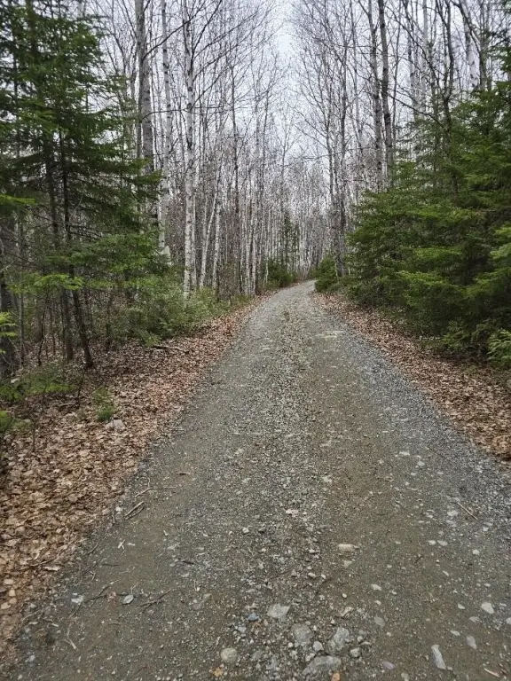 Picture 13