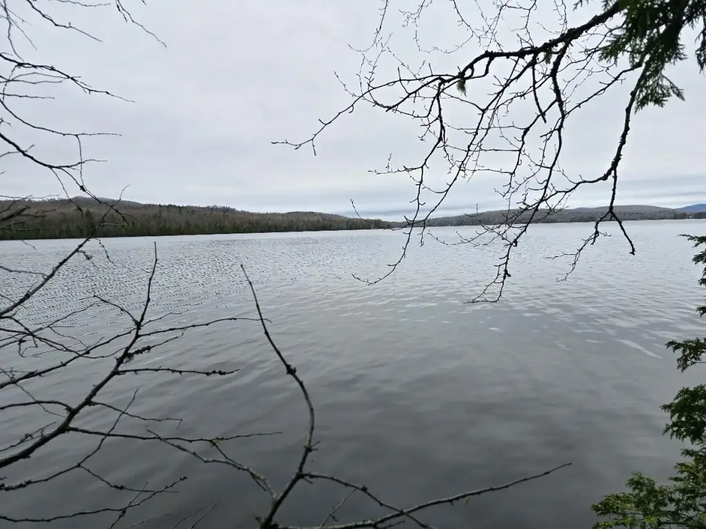 Picture 8