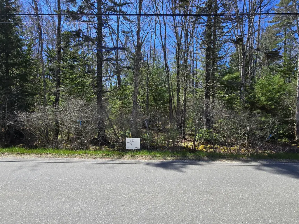 Picture 2