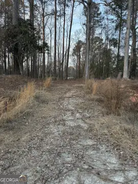 Residential Land in Tignall, GA