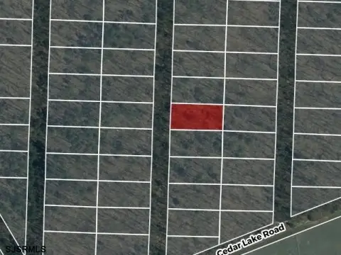 Buena Vista Township Land Parcel