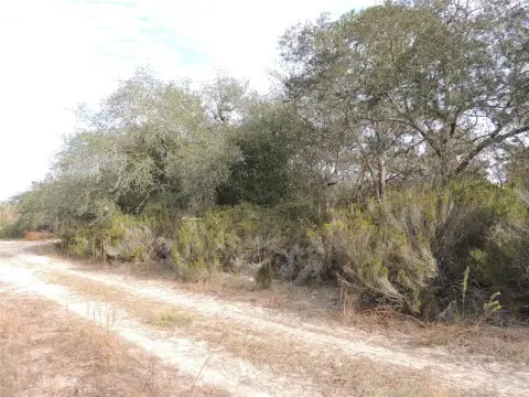 Oversized Corner Lot in Williston