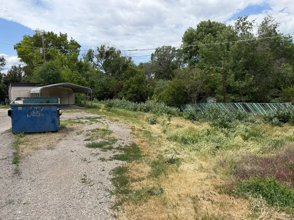 Picture 19