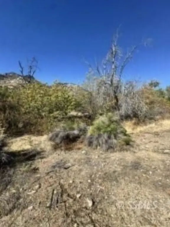 Picture 8