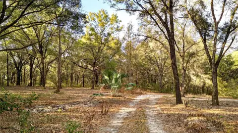 Ten Acres in Weirsdale, Florida