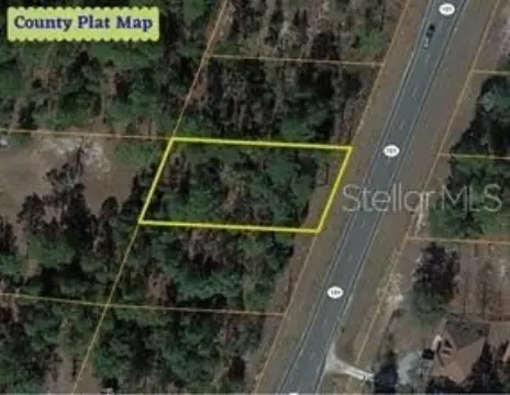 Land in Morriston, Florida