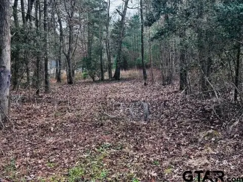 Acreage Near Lake Striker