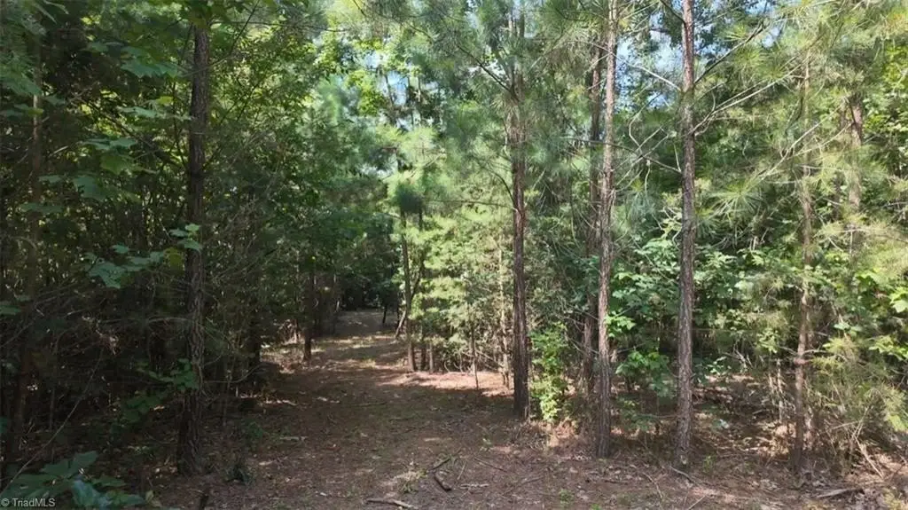 Picture 16