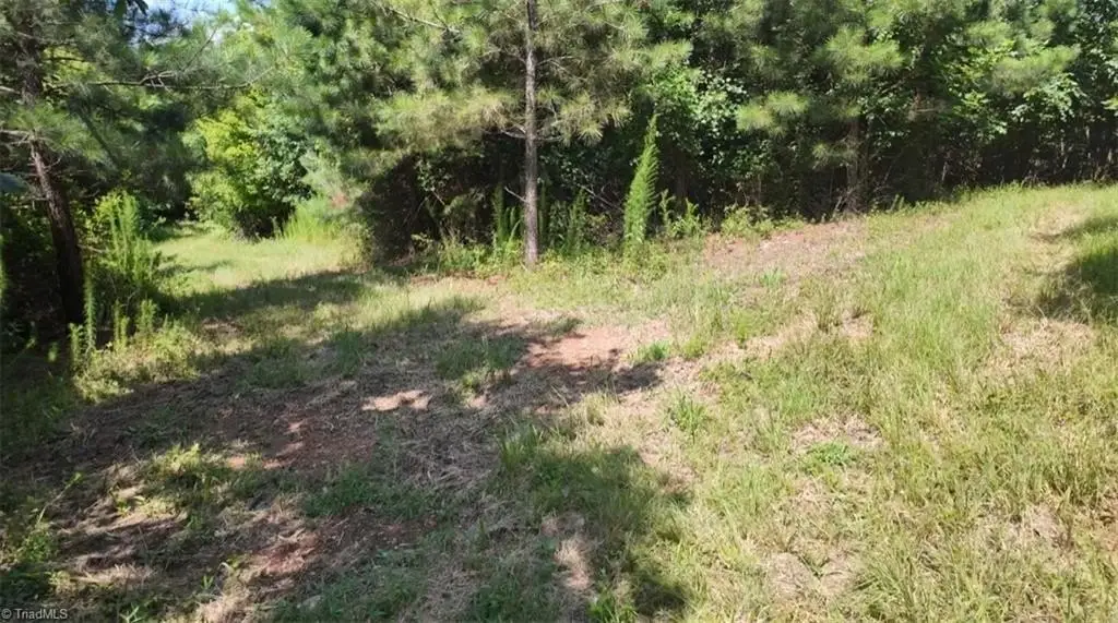 Picture 15