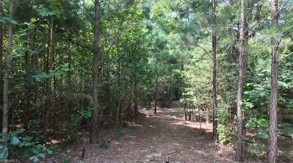 Picture 20