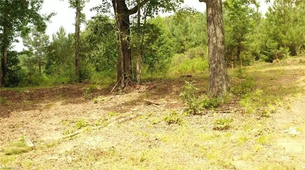 Picture 21