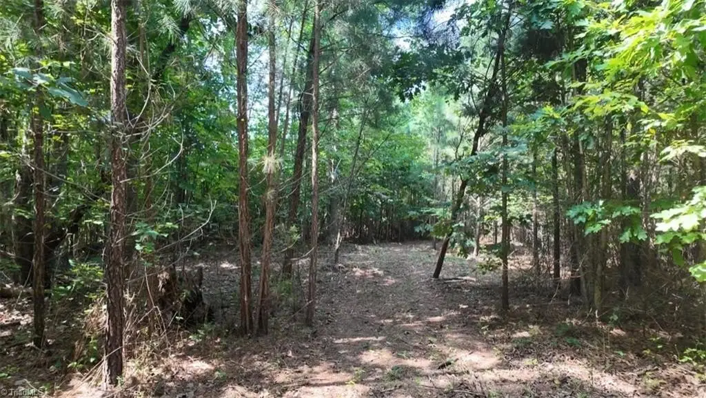 Picture 23