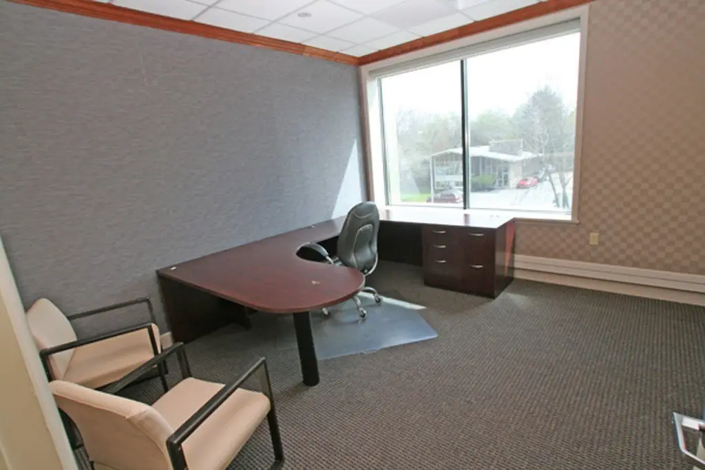 Picture 8