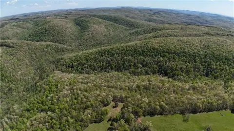 Ozark Mountain Recreational Land