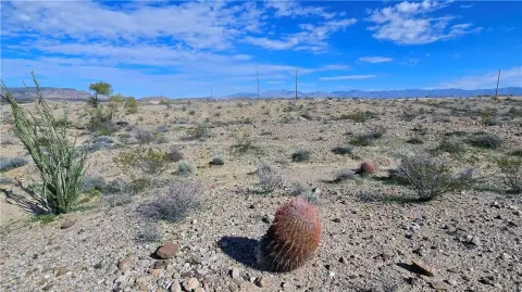 36.95 Acres in Yucca, AZ