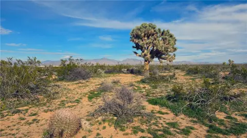 40 Acres Vacant Desert Land