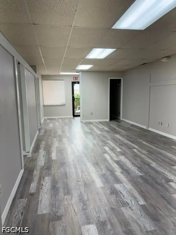 Picture 5