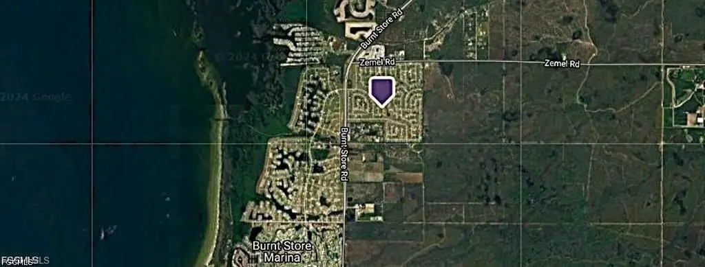 Picture 5