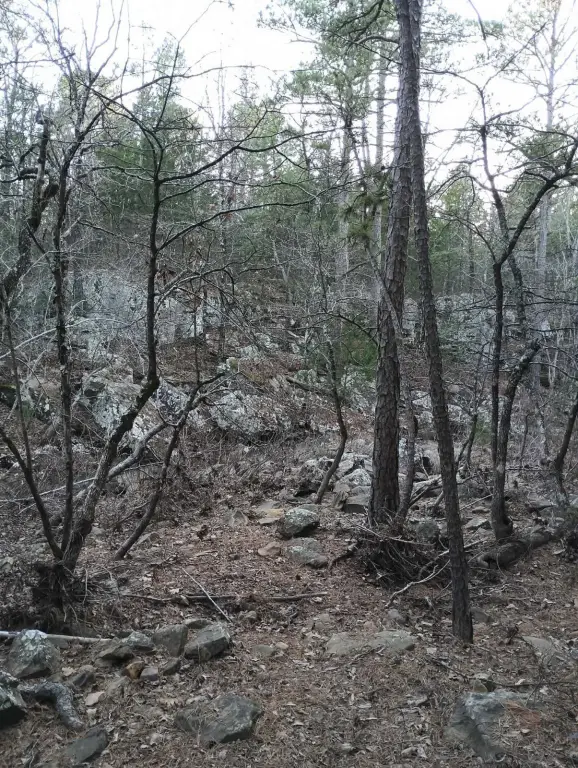 Picture 8