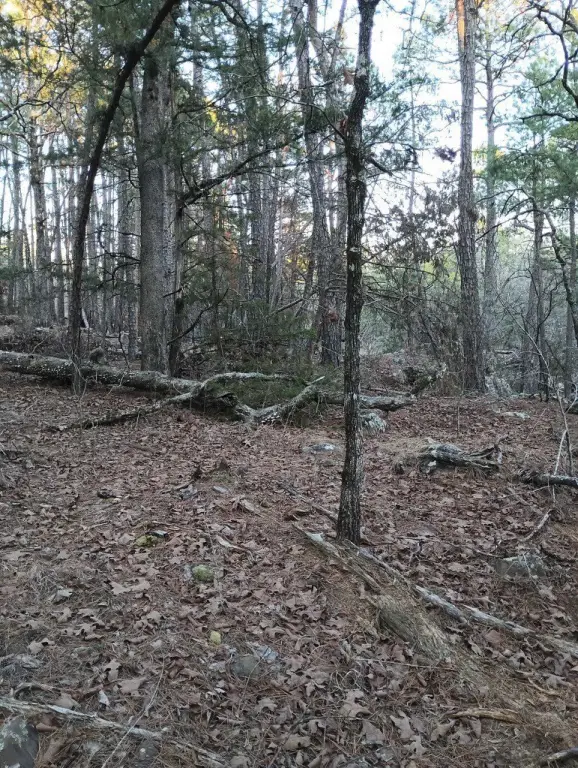 Picture 10