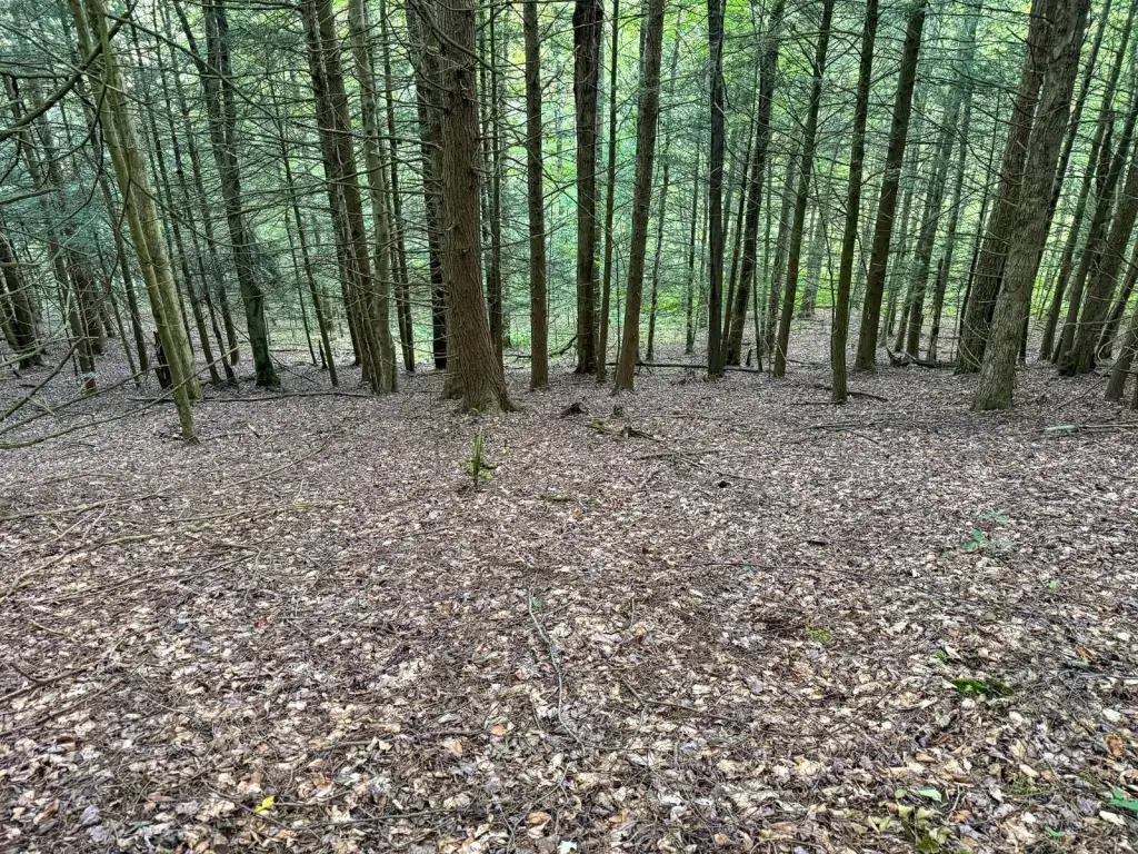 Picture 19