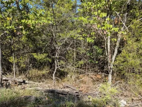 Holiday Island Land Lot