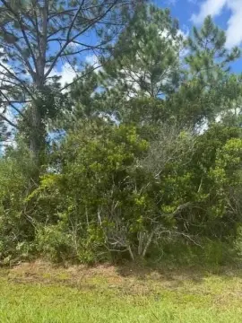 Residential Land in Palm Coast