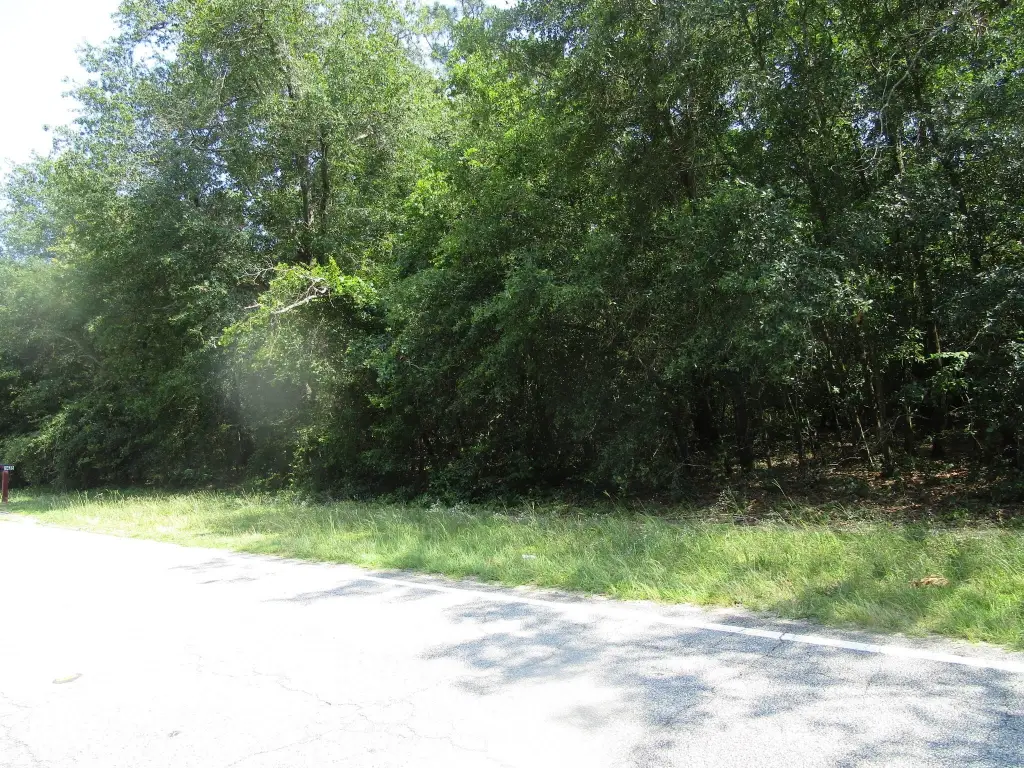 Picture 9