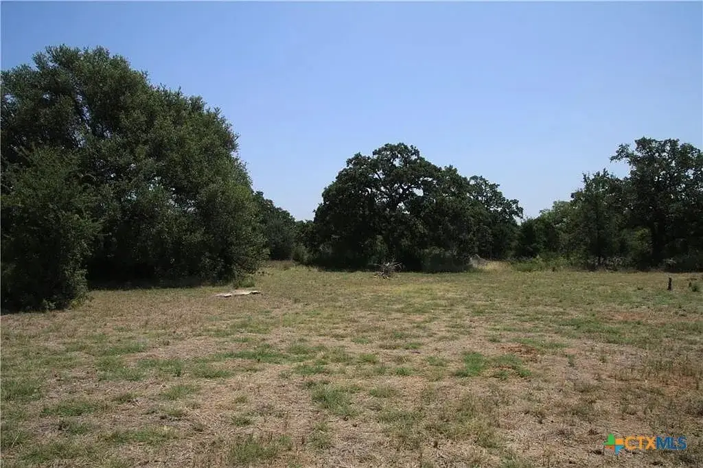 Picture 3