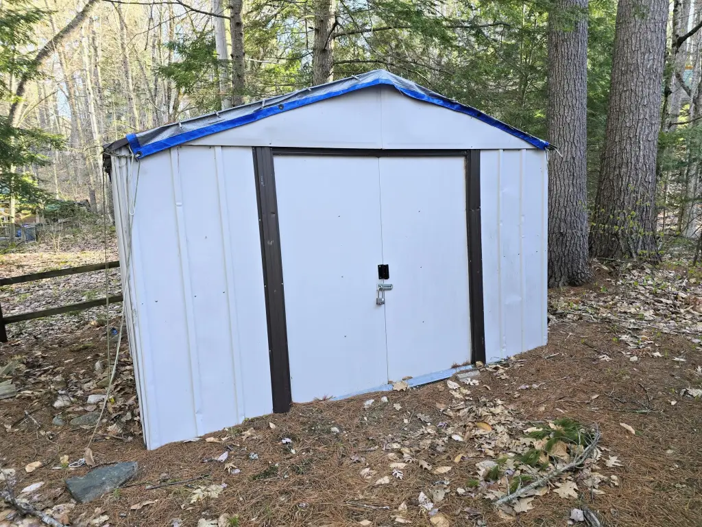 Picture 5