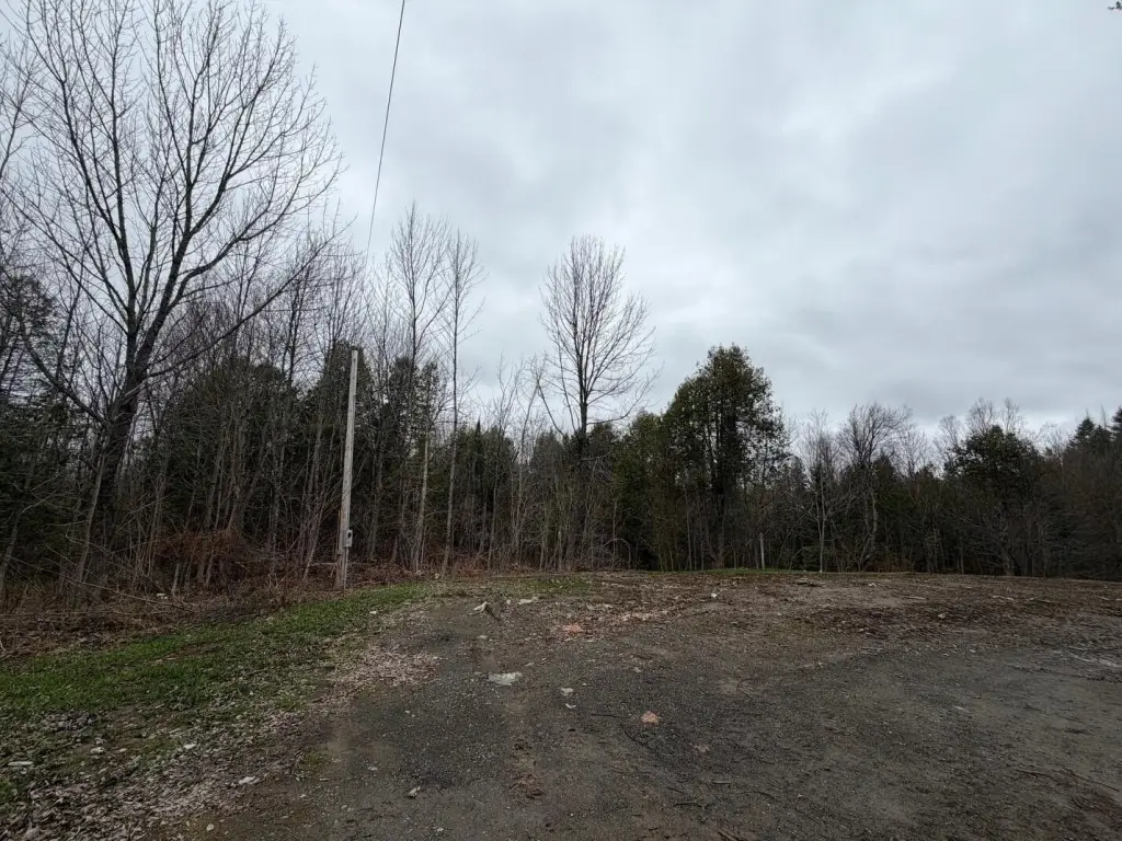 Picture 5